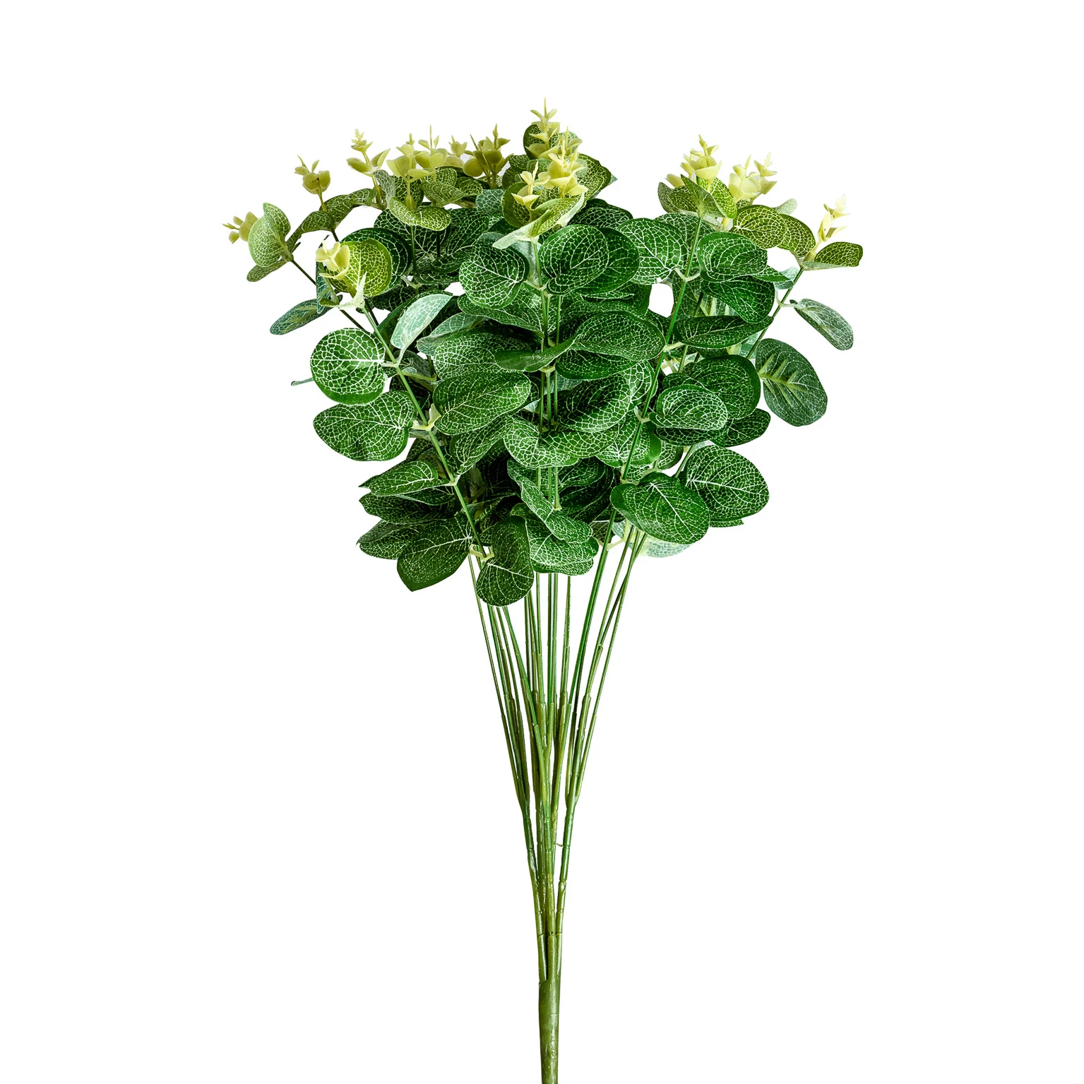 Produse - Planta de eucalipt VicalHome 26356