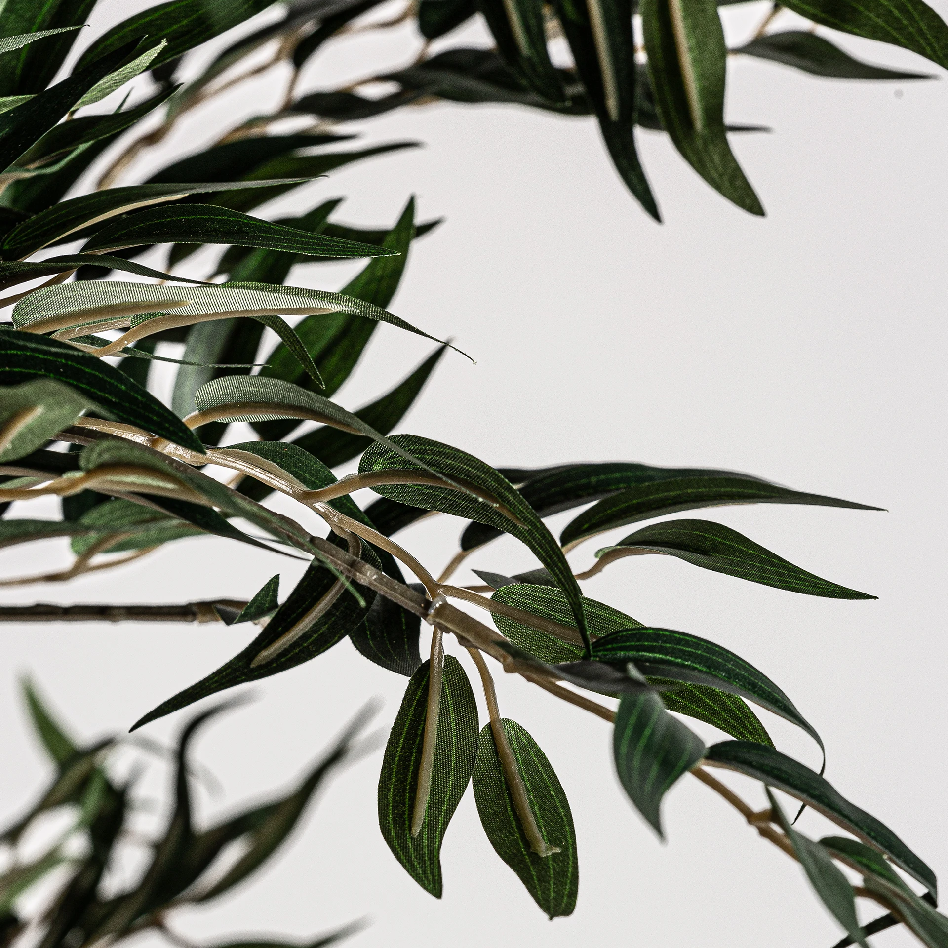 PLANTA DE FERIGA VicalHome 22693 [9]