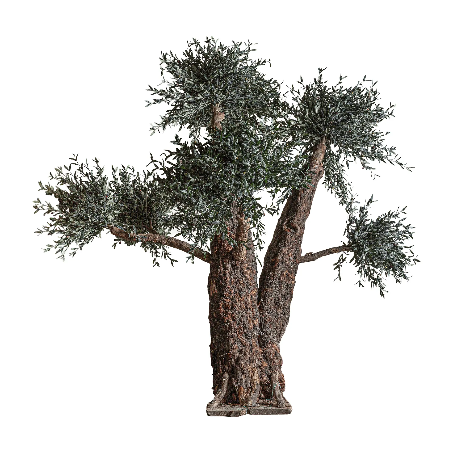 PLANTA DE MASLIN VicalHome 38084 [1]