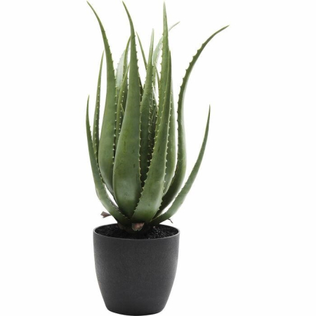 Produse - Plantă Decorativă Aloe 20x20x69 cm, Eva - Kare Design