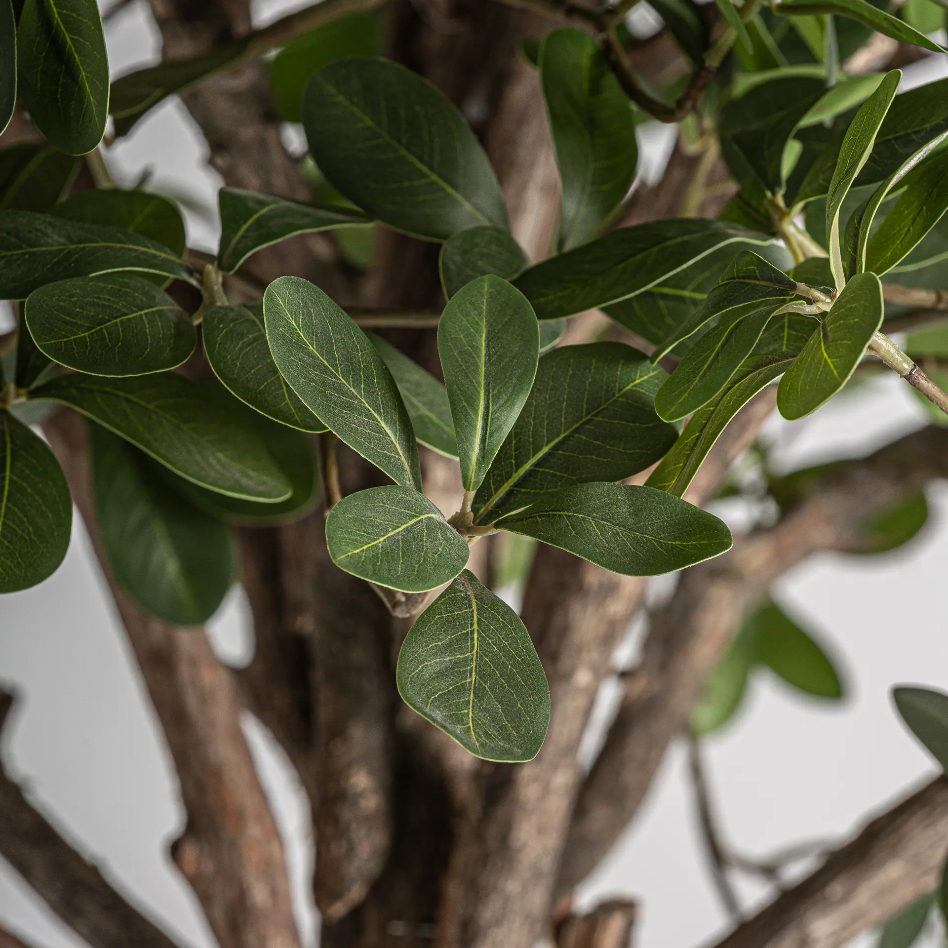 Planta Ficus 70x70x230 cm, Fibra Naturala și Lemn Maro - VicalHome VicalHome 38083 [2]