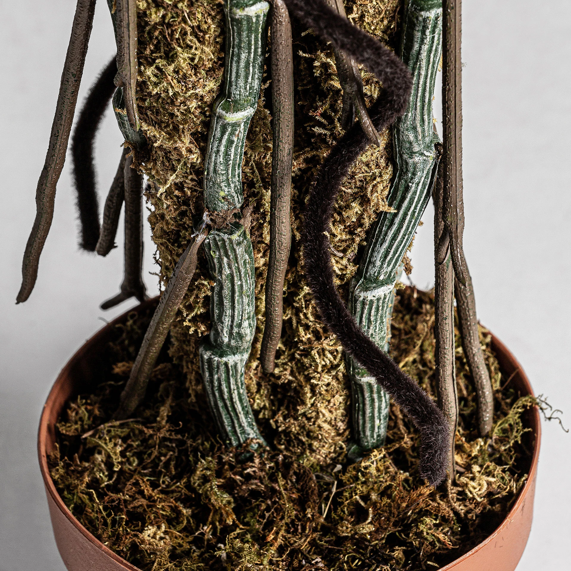 Planta Philo Split VicalHome 22689 [2]