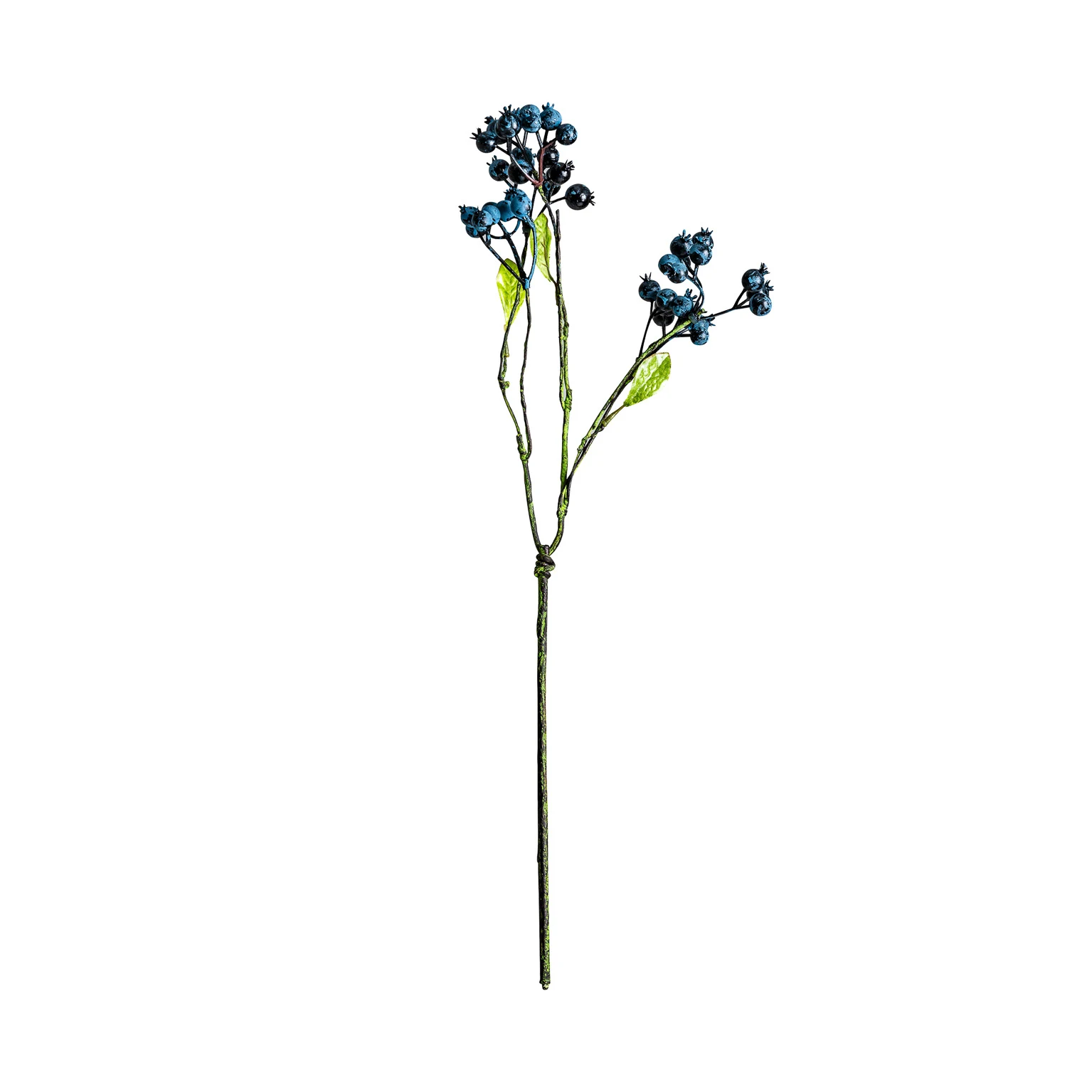 PLANTA DE VIBURN VicalHome 26343 [1]