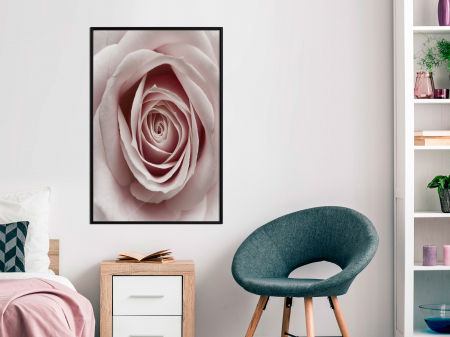 Poster - Rosebud [1]
