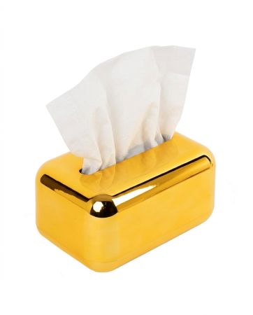 Produse - Recipient pentru Șerveţele Golden 18x12x10 cm, Plastic Auriu - SHP