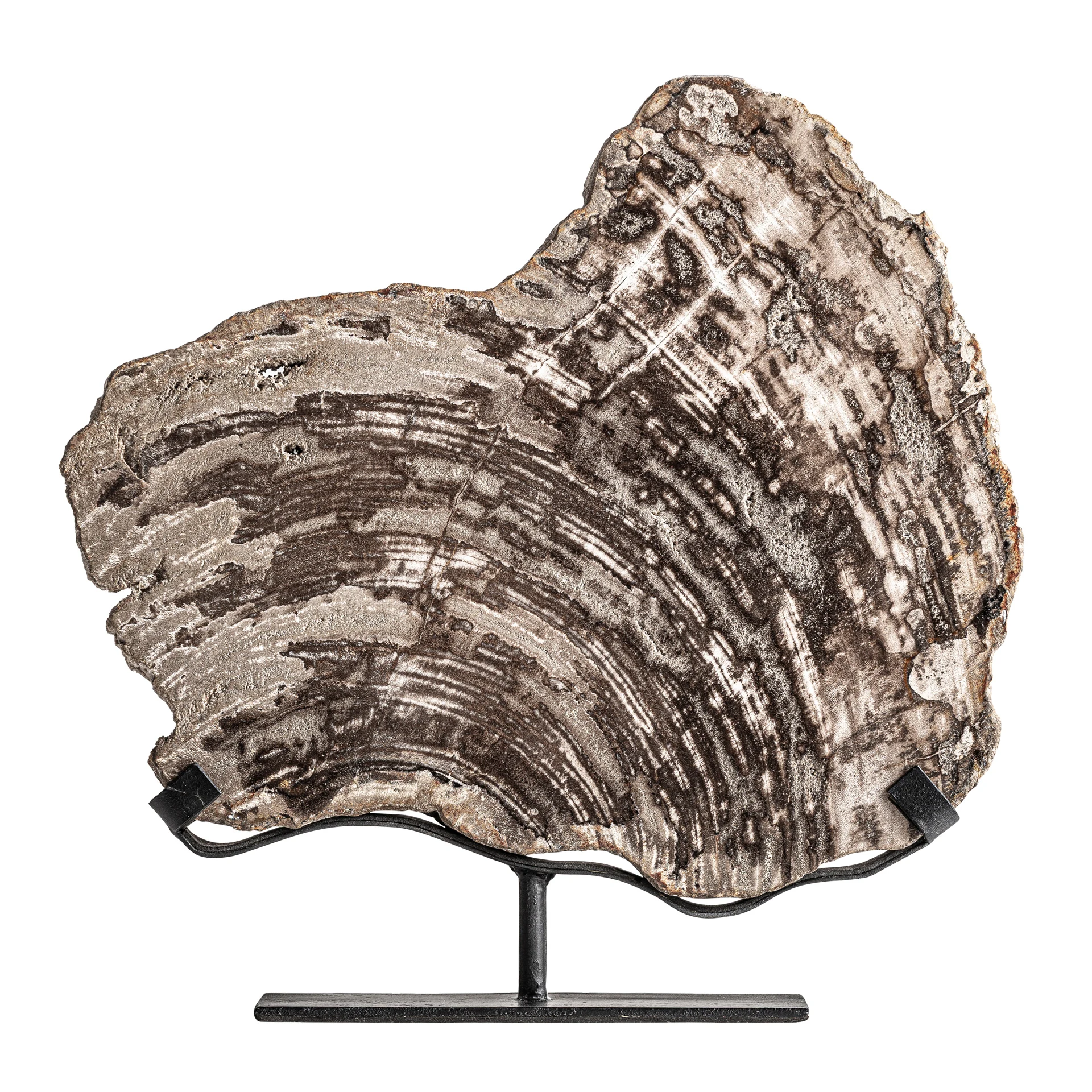 Produse - Sculptura Decorativa din Fier si Lemn Pietrificat, Gri, 30x7x35 cm, Stil Nordic - VicalHome 37447