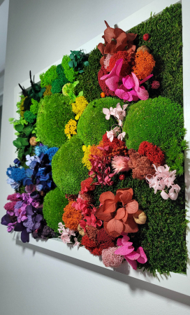 Tablou cu licheni naturali multicolori Rainbow diverse dimensiuni, TA33RAI_30x40 - Lacraru [2]