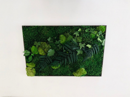 Tablou cu muchi, licheni si plante stabilizate Wild diverse dimensiuni, T15FRL_30x60 - Lacraru [2]