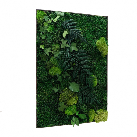 Tablouri cu muschi - Tablou cu muchi, licheni si plante stabilizate Wild diverse dimensiuni, T15FRL_30x60 - Lacraru