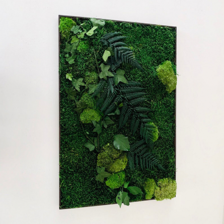 Tablou cu muchi, licheni si plante stabilizate Wild diverse dimensiuni, T15FRL_30x60 - Lacraru [1]