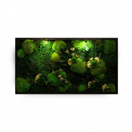 Tablouri cu muschi - Tablou cu muschi naturali stabilizati si flori criogenate Forest Feeling, diverse dimensiuni, TB11VER_30x60 - Lacraru