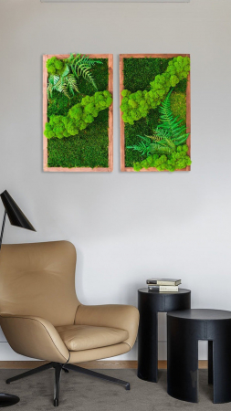 Tablou decorativ cu muschi, licheni si plante Syeda diverse dimensiuni, TB60LM_M1_60x40_WH - Lacraru [1]