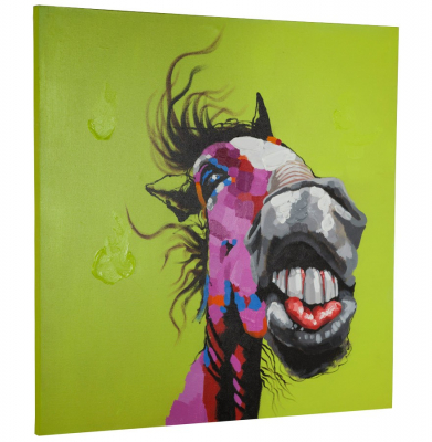 Produse - Tablou decorativ funny pictat manual JUMPER / Cal