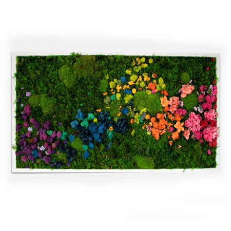 Tablouri cu muschi - Tablou decorativ Rosy cu muschi, licheni si plante, diverse dimensiuni, TB60LMF_60x40_WH - Lacraru