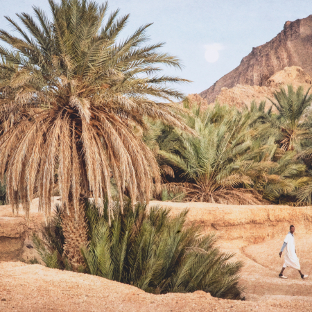   Tablou Marta Rossignol - Oaza Moroccană 118557 EICHHOLTZ [1]