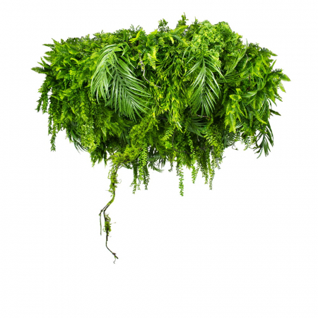 Produse - Tavan artificial Green Sway 100cm