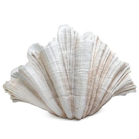 Produse - Vază Decorativă Concha 57x31x35 cm, Rășină Kremowy - Kare Design