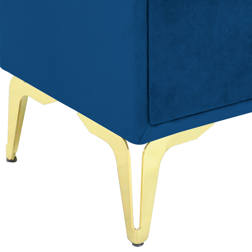 Noptiera tapitata albastru, cu picioare aurii [3]