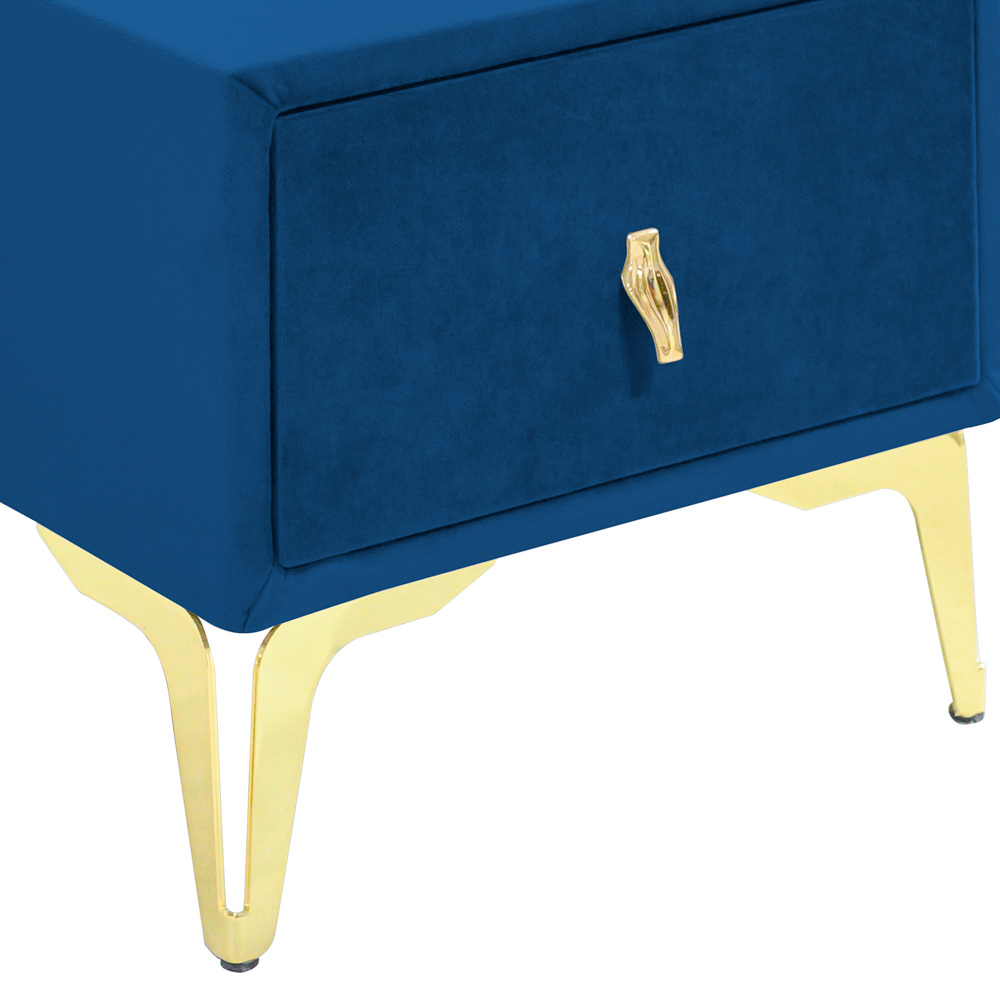 Noptiera tapitata albastru, cu picioare aurii [4]