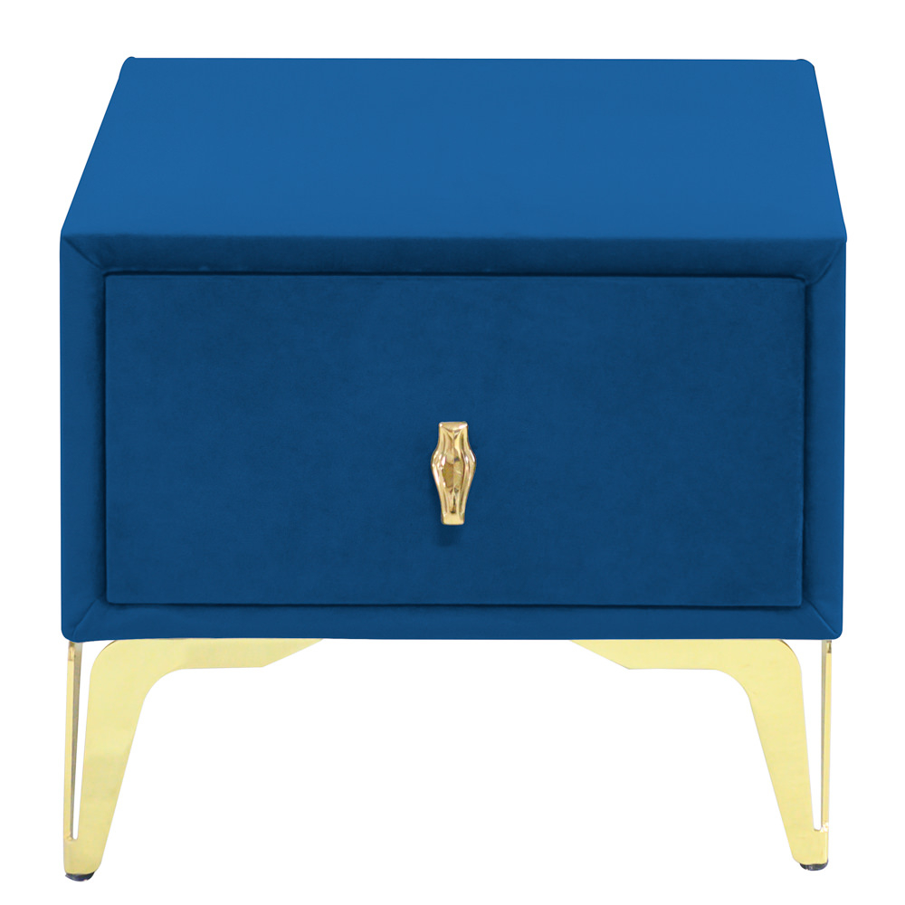 Noptiera tapitata albastru, cu picioare aurii [2]