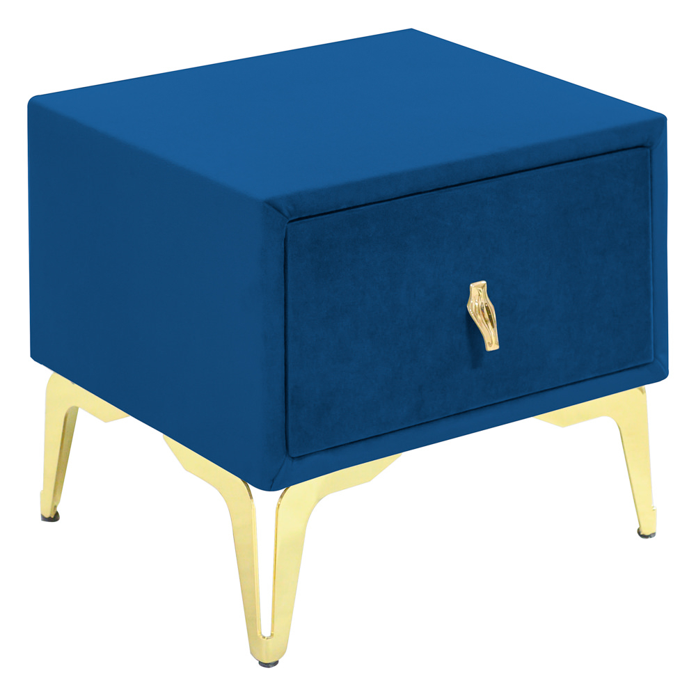 Noptiera tapitata albastru, cu picioare aurii [1]