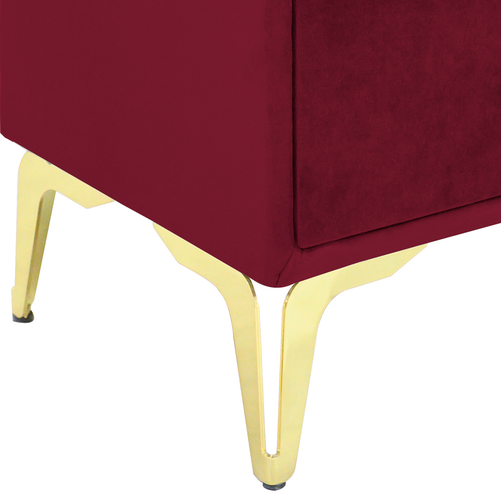 Noptiera tapitata visiniu, cu picioare aurii [3]