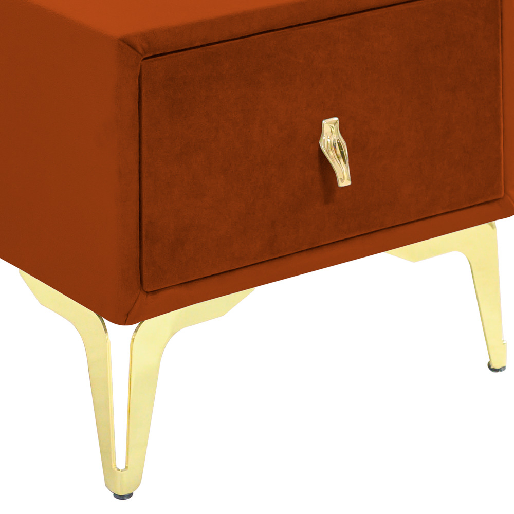 Noptiera tapitata caramiziu, cu picioare aurii [4]