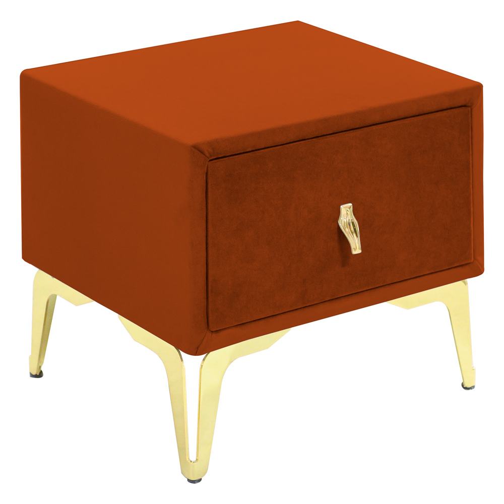 Noptiera tapitata caramiziu, cu picioare aurii [1]