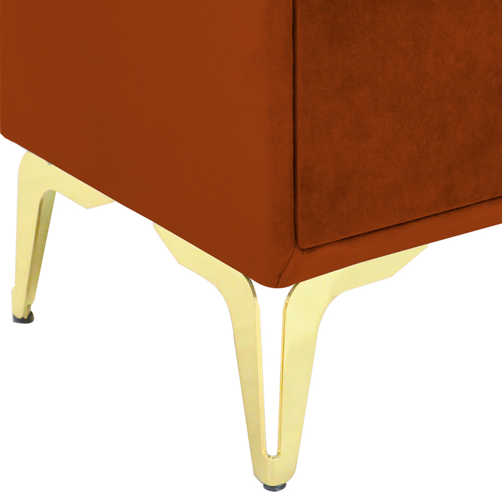 Noptiera tapitata caramiziu, cu picioare aurii [3]