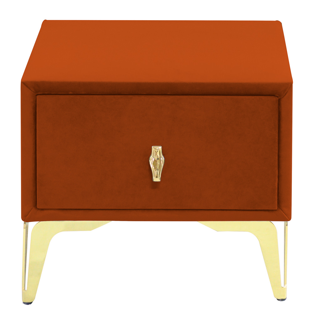 Noptiera tapitata caramiziu, cu picioare aurii [2]