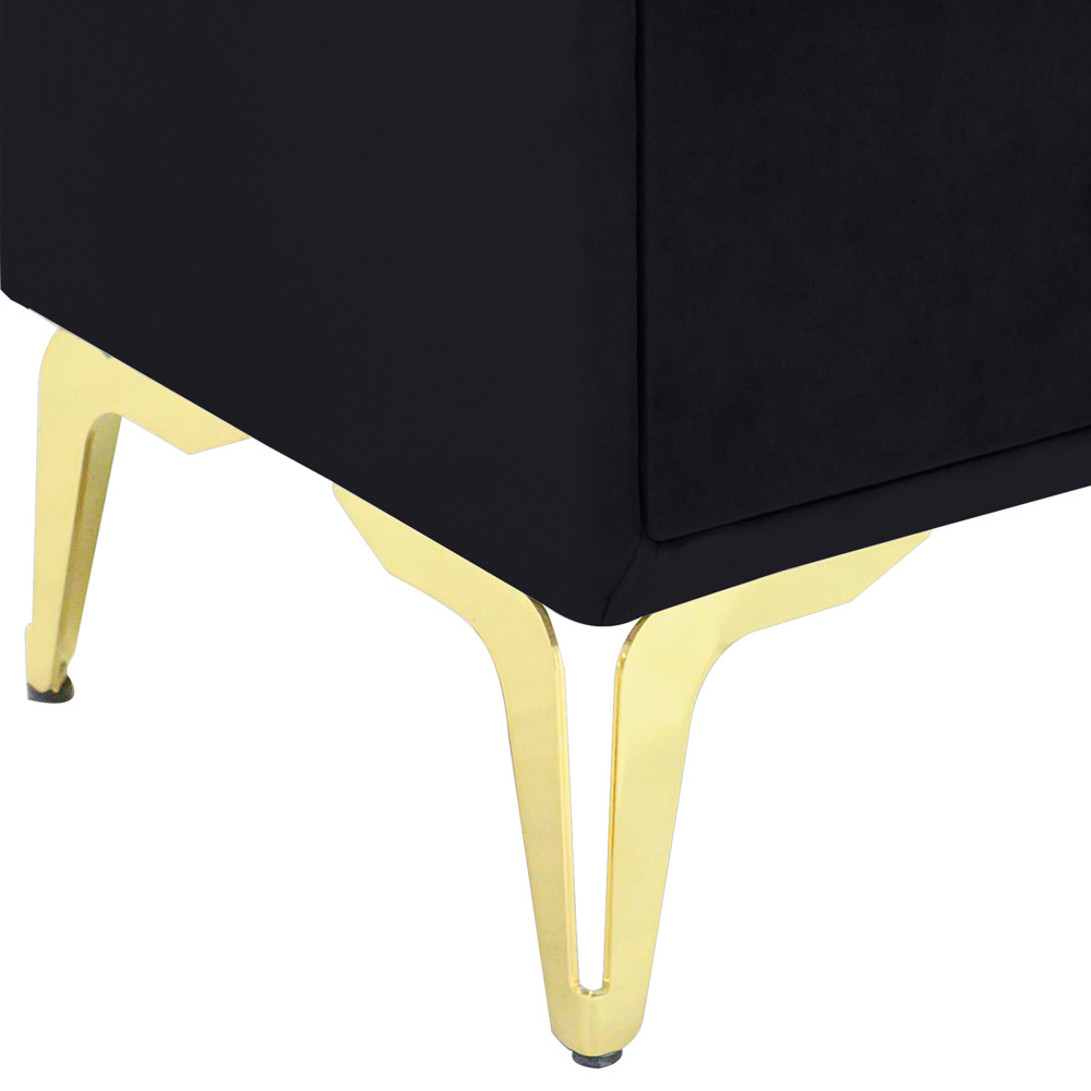 Noptiera tapitata negru, cu picioare aurii [3]