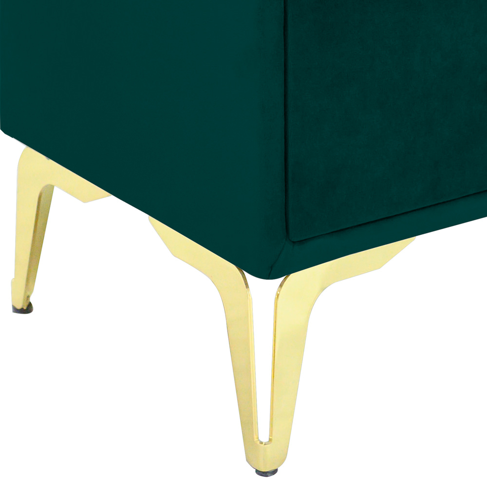 Noptiera tapitata verde, cu picioare aurii [3]