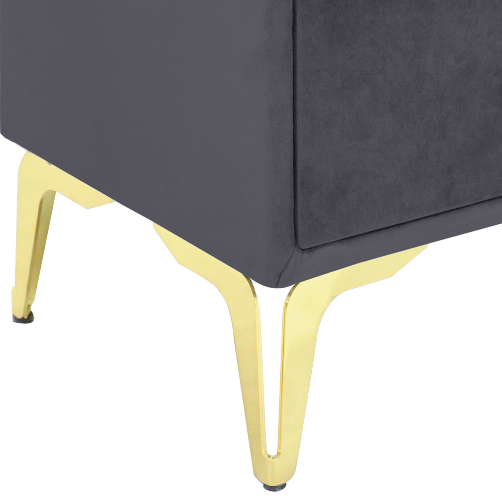 Noptiera tapitata gri inchis, cu picioare aurii [3]