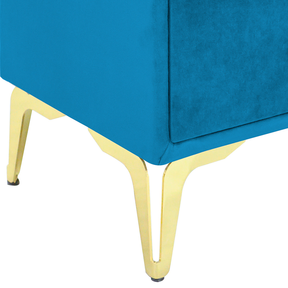 Noptiera tapitata albastru deschis, cu picioare aurii [3]