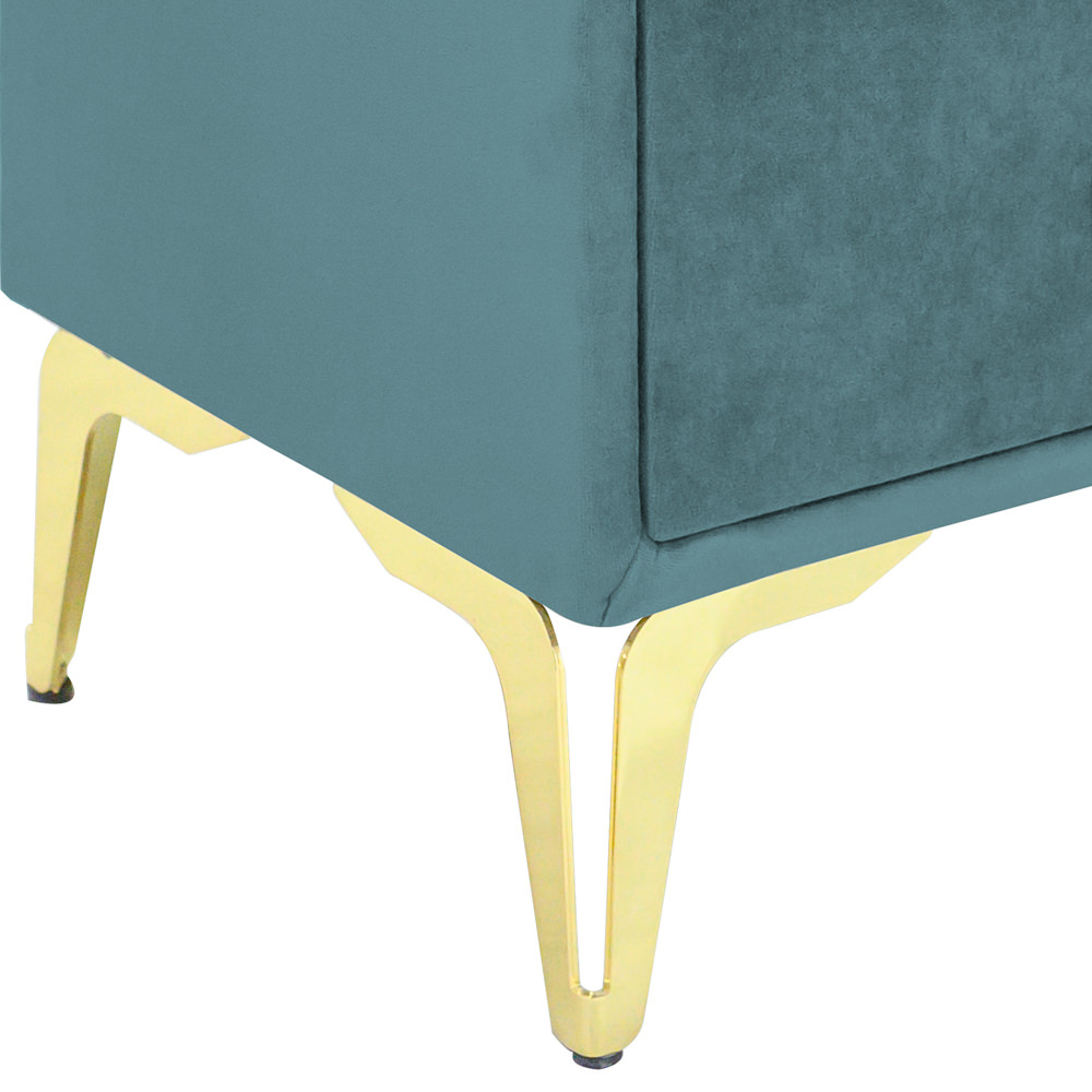 Noptiera tapitata verde marin, cu picioare aurii [3]