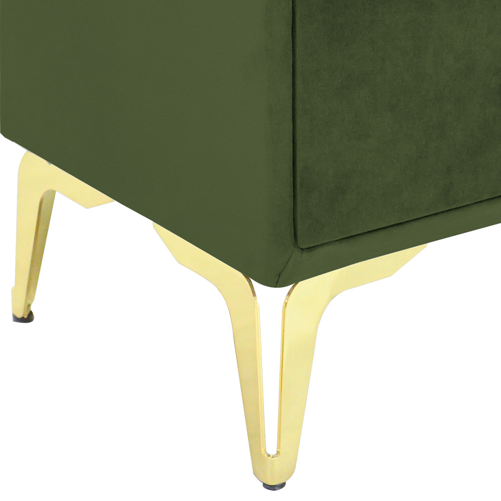 Noptiera tapitata kaki, cu picioare aurii [3]