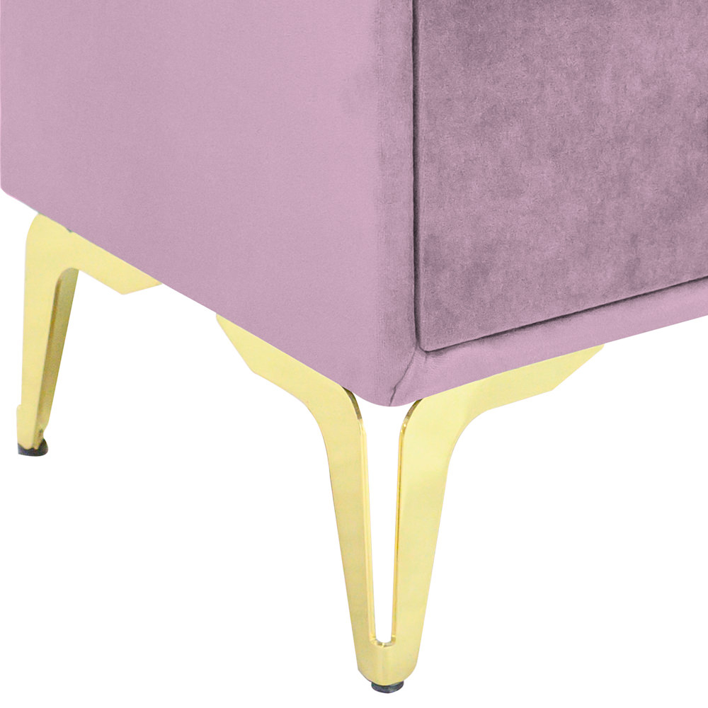 Noptiera tapitata roz, cu picioare aurii [3]