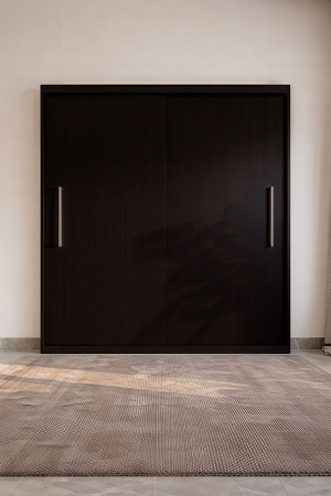 Dressing Alex,160x60x200cm, Wenge, Pal 18 mm [3]