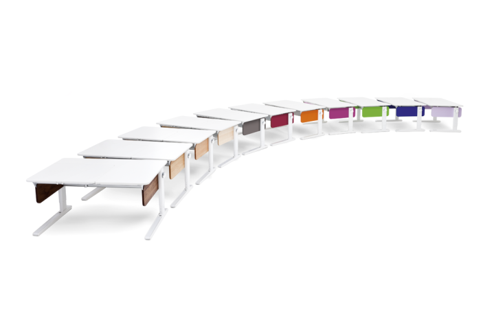 Birou Champion Colorat [11]