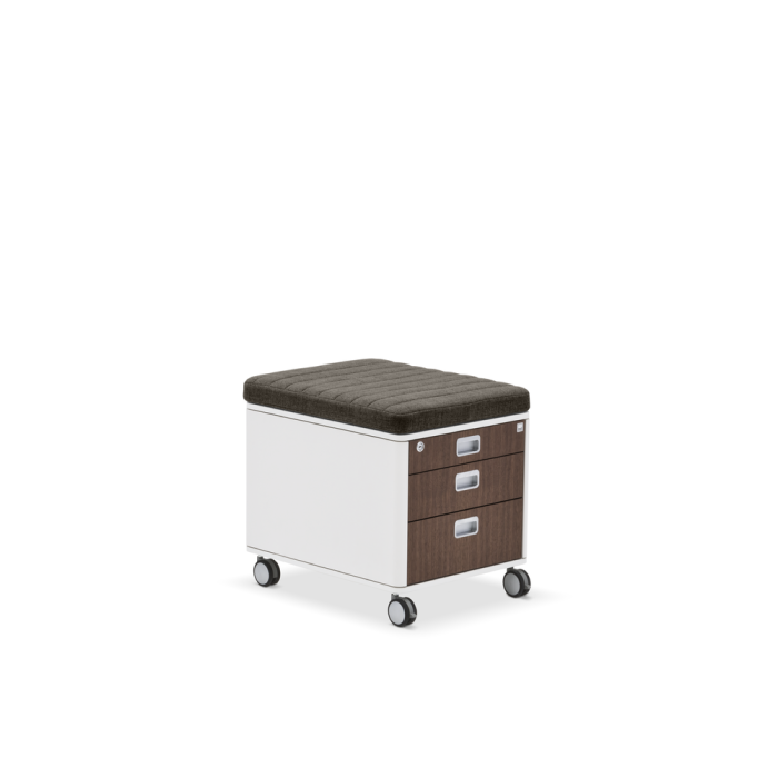 Casetiera C7 [8]