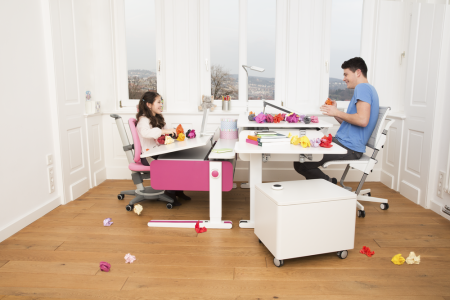 Birou Champion Colorat [7]