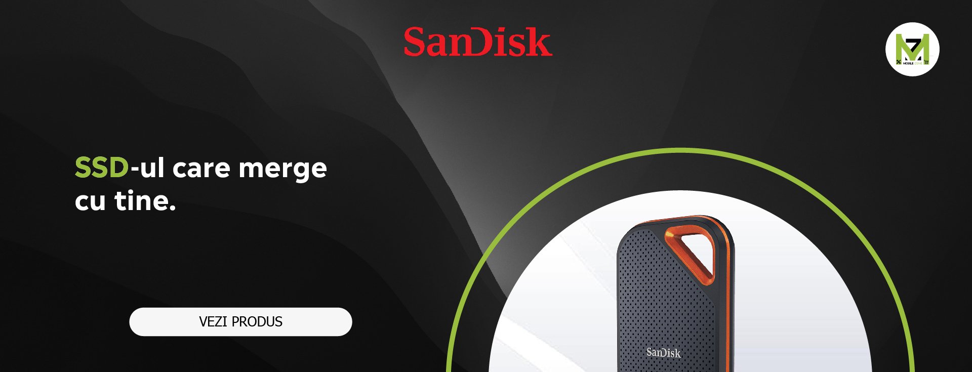 Sandisk Portable