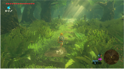 Joc Legend of Zelda: Breath of the Wild pentru Nintendo Switch 2 [2]
