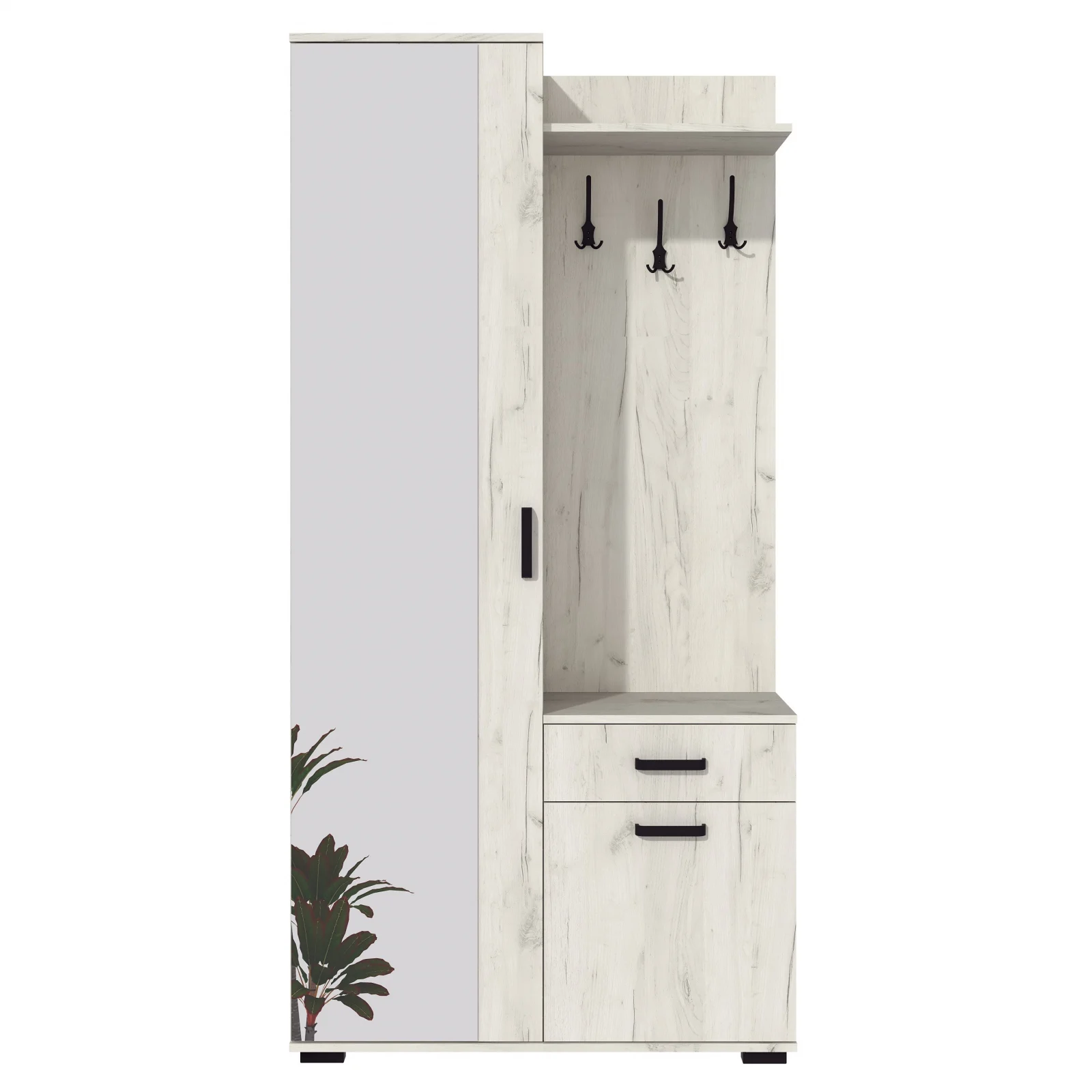 Cuier Emma Stejar K001 [3]