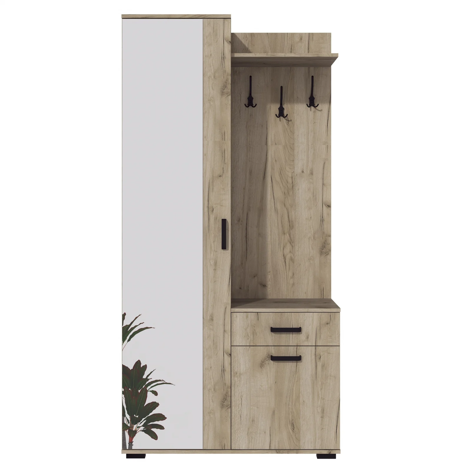 Cuier Emma Stejar K002 [3]