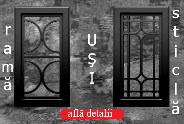 Solutii pentru usi sticla