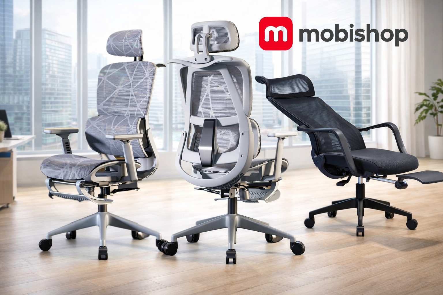 Fotolii pentru oficiu