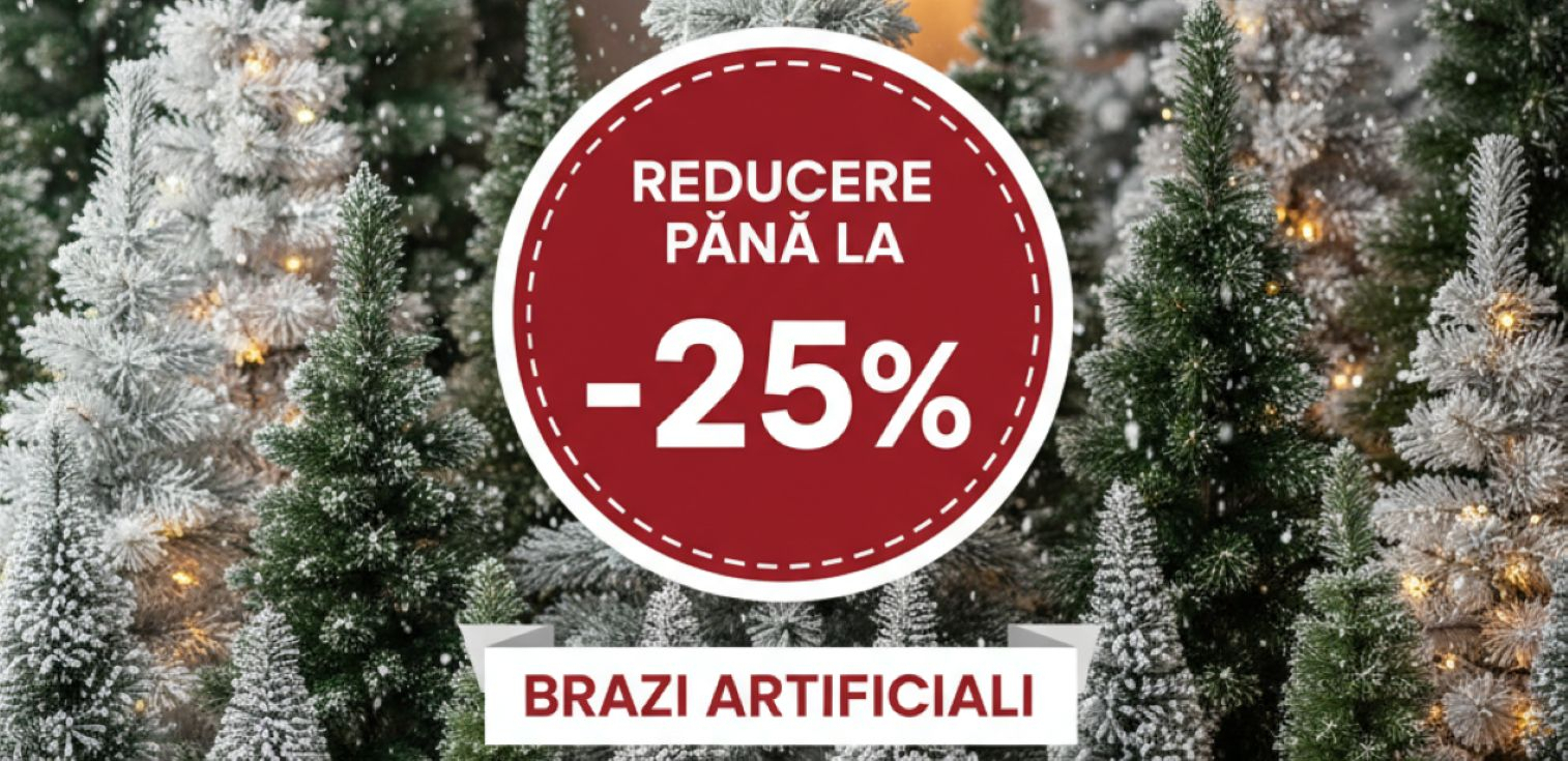 Reduceri la brazi de Craciun