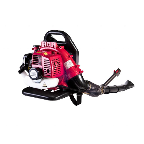 Бензиновая воздуходувка Raider RD-GB06 [1]