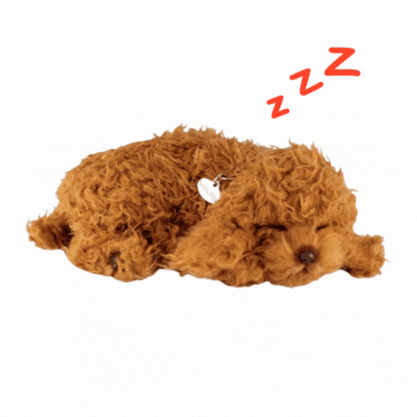 Плюшевый щенок Той-пудель Perfect Petzzz с дыханием [2]